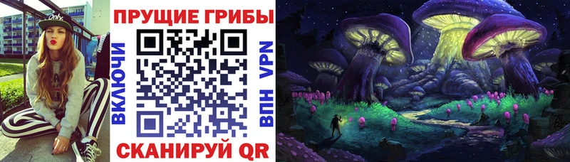 Псилоцибиновые грибы ЛСД  Тихорецк 